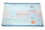 приложение к аттестату вечерней школы 11 класс нового образца